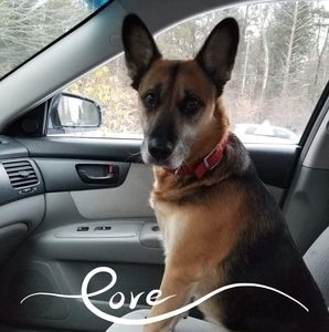 Meet your Posher, Jen